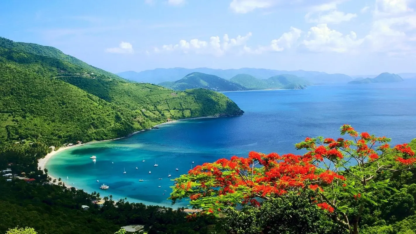 创新高标准